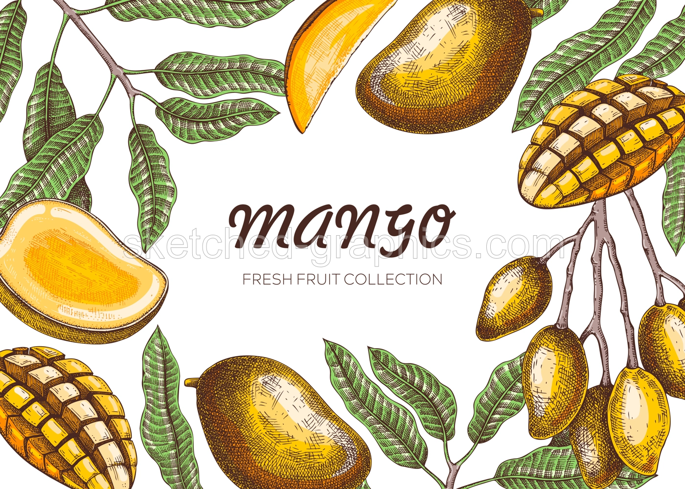 Tropical fruit frame design. Mixed media summer background. Mango fruit sketch, hand-drawn vector illustration. Juice packaging, exotic plant banner template. NOT AI generated Illustration